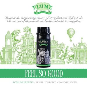 FLUME - Feel So Good