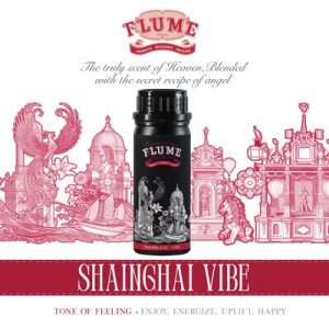 FLUME - Shainghai Vibe